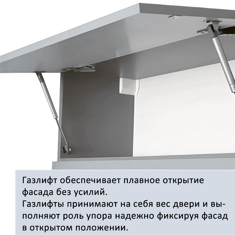 Газлифт мебельный 245мм 60N
